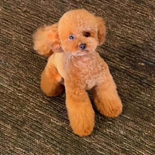 WhatsApp Image 2023-02-02 at 2.34.11 AM (2)