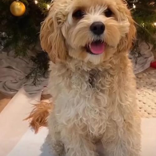 WhatsApp Image 2023-02-02 at 2.34.11 AM (3)