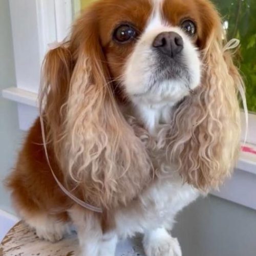 WhatsApp Image 2023-02-02 at 2.34.11 AM