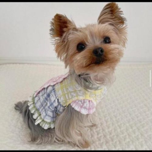 WhatsApp Image 2023-02-02 at 2.36.20 AM (1)