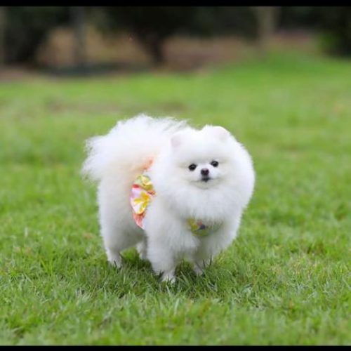 WhatsApp Image 2023-02-02 at 2.37.18 AM (1)