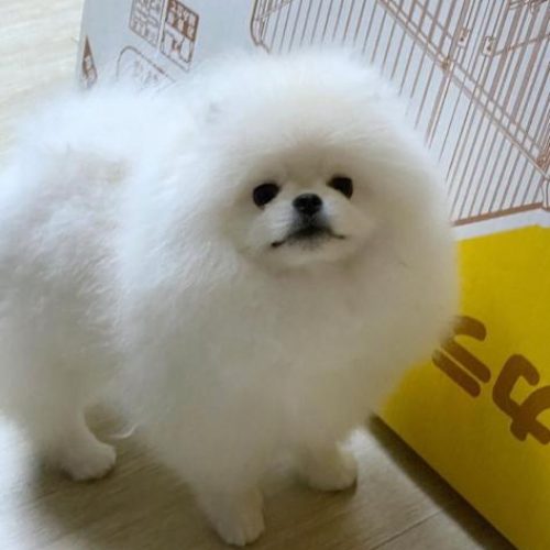 WhatsApp Image 2023-02-02 at 2.37.18 AM